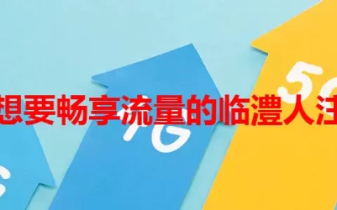 那些想要畅享流量的临澧人注意了