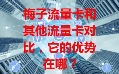 梅子流量卡和其他流量卡对比，它的优势在哪？