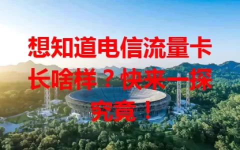 想知道电信流量卡长啥样？快来一探究竟！