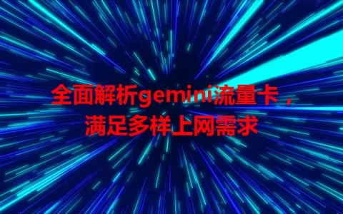 全面解析gemini流量卡，满足多样上网需求
