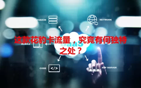 这款花豹卡流量，究竟有何独特之处？