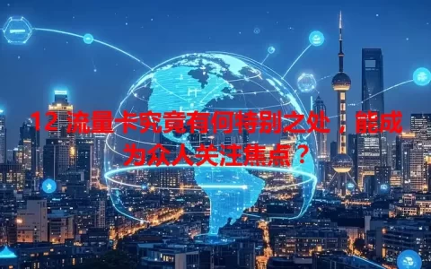 12 流量卡究竟有何特别之处，能成为众人关注焦点？