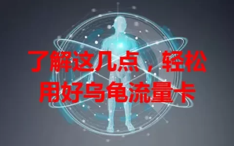 了解这几点，轻松用好乌龟流量卡