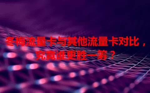 冬梅流量卡与其他流量卡对比，究竟谁更胜一筹？