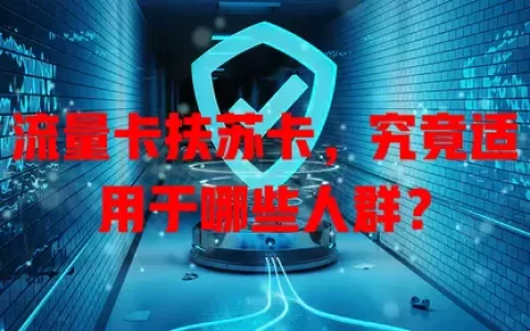 流量卡扶苏卡，究竟适用于哪些人群？