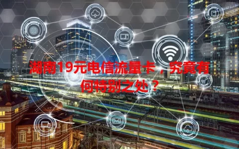 湖南19元电信流量卡，究竟有何特别之处？