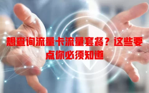 想查询流量卡流量套餐？这些要点你必须知道