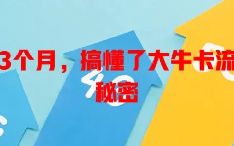 我用了3个月，搞懂了大牛卡流量卡的秘密