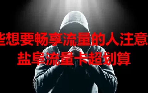 那些想要畅享流量的人注意了！盐阜流量卡超划算