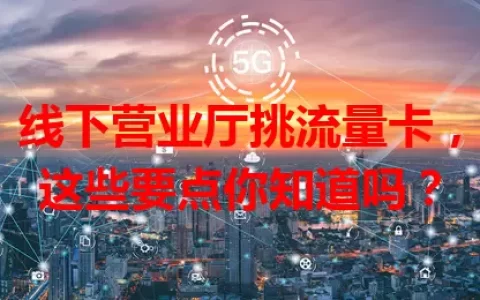 线下营业厅挑流量卡，这些要点你知道吗？