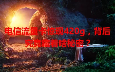 电信流量卡惊现420g，背后究竟藏着啥秘密？