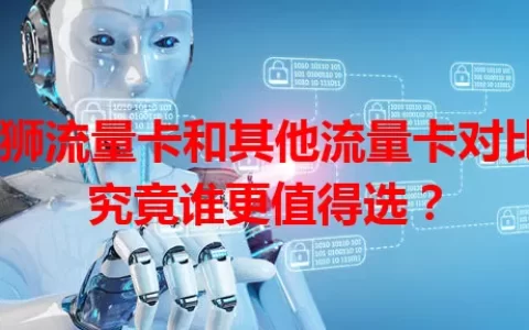 雄狮流量卡和其他流量卡对比，究竟谁更值得选？