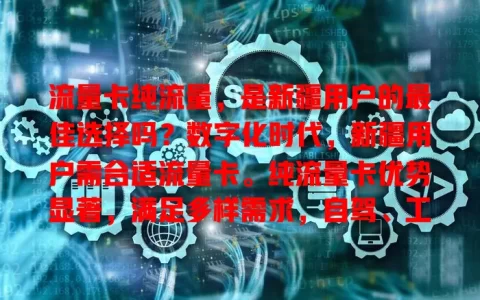流量卡纯流量，是新疆用户的最佳选择吗？数字化时代，新疆用户需合适流量卡。纯流量卡优势显著，满足多样需求，自驾、工作、分享美景都不愁。选卡留意要点，享便利畅快，探索未知更精彩