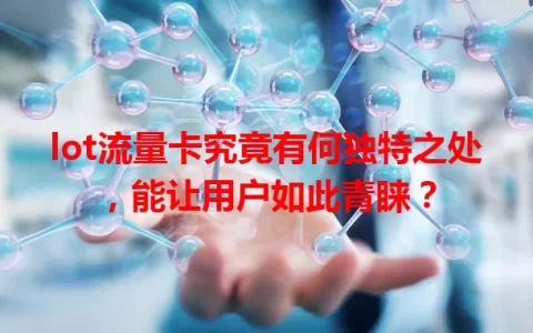 lot流量卡究竟有何独特之处，能让用户如此青睐？