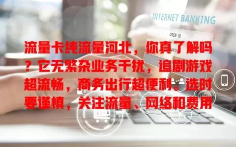 流量卡纯流量河北，你真了解吗？它无繁杂业务干扰，追剧游戏超流畅，商务出行超便利。选时要谨慎，关注流量、网络和费用。选对就能畅享便捷网络生活