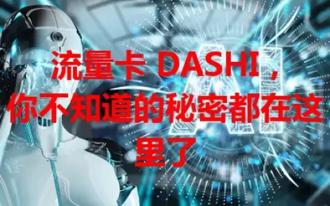 流量卡 DASHI，你不知道的秘密都在这里了