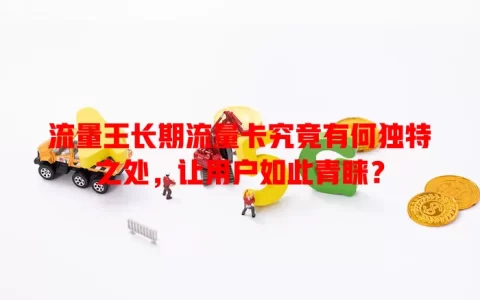 流量王长期流量卡究竟有何独特之处，让用户如此青睐？
