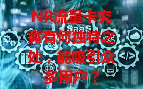 NR流量卡究竟有何独特之处，能吸引众多用户？
