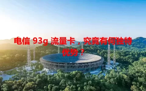 电信 93g 流量卡，究竟有何独特优势？