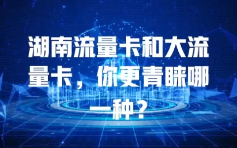 湖南流量卡和大流量卡，你更青睐哪一种？