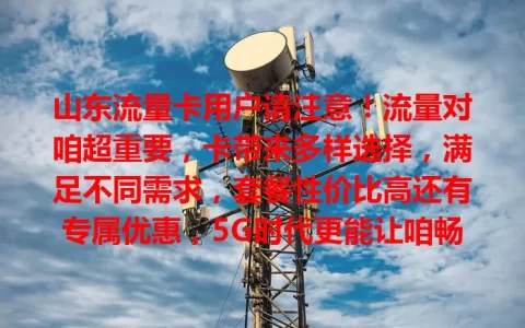山东流量卡用户请注意！流量对咱超重要，卡带来多样选择，满足不同需求，套餐性价比高还有专属优惠，5G时代更能让咱畅享新娱乐，快选适合自己的流量卡！