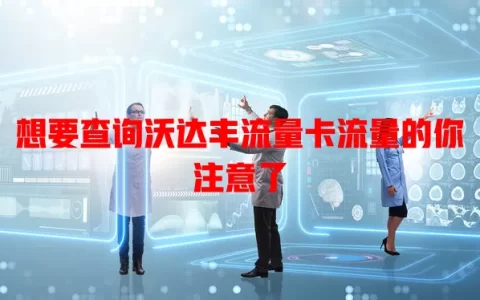 想要查询沃达丰流量卡流量的你注意了