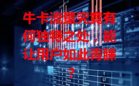 牛卡流量究竟有何独特之处，能让用户如此青睐？