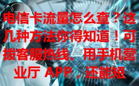 电信卡流量怎么查？这几种方法你得知道！可拨客服热线、用手机营业厅 APP，还能短信查询，掌握这些让你随时了解流量，避免超支，畅用电信卡