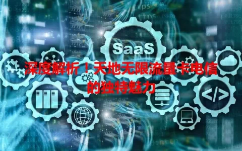 深度解析！天地无限流量卡电信的独特魅力