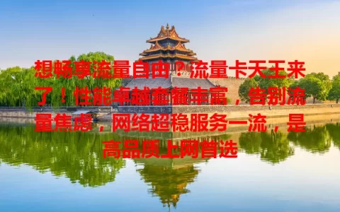 想畅享流量自由？流量卡天王来了！性能卓越套餐丰富，告别流量焦虑，网络超稳服务一流，是高品质上网首选