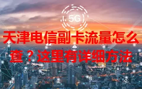 天津电信副卡流量怎么查？这里有详细方法