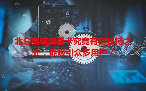 北仑电信流量卡究竟有何独特之处，能吸引众多用户？