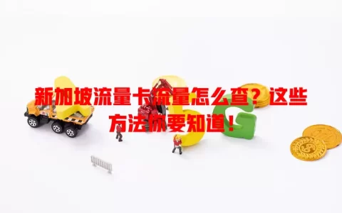 新加坡流量卡流量怎么查？这些方法你要知道！