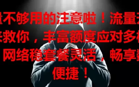 流量不够用的注意啦！流量升龙卡来救你，丰富额度应对多样需求，网络稳套餐灵活，畅享数字便捷！