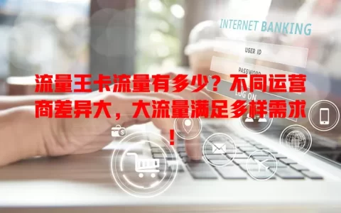 流量王卡流量有多少？不同运营商差异大，大流量满足多样需求！