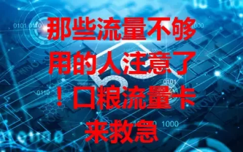 那些流量不够用的人注意了！口粮流量卡来救急
