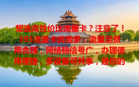 想选高性价比流量卡？注意了！395流量卡优势多，流量足费用合理，网络稳信号广，办理使用便捷，多设备可共享，是你的不错之选，别再烦恼，快来试试！