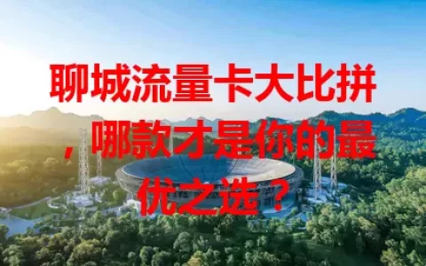 聊城流量卡大比拼，哪款才是你的最优之选？