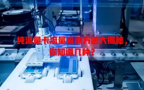 纯流量卡流量查询方法大揭秘，你知道几种？