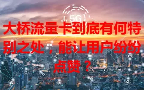 大桥流量卡到底有何特别之处，能让用户纷纷点赞？