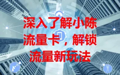 深入了解小陈流量卡，解锁流量新玩法