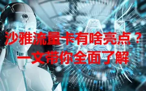 沙雅流量卡有啥亮点？一文带你全面了解
