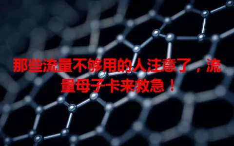 那些流量不够用的人注意了，流量母子卡来救急！