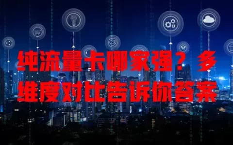 纯流量卡哪家强？多维度对比告诉你答案