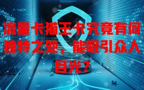 流量卡猫王卡究竟有何独特之处，能吸引众人目光？