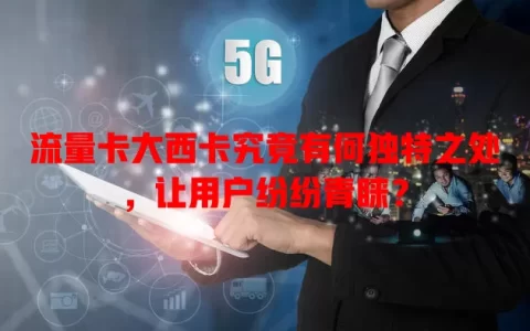 流量卡大西卡究竟有何独特之处，让用户纷纷青睐？