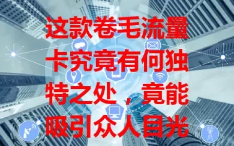 这款卷毛流量卡究竟有何独特之处，竟能吸引众人目光？