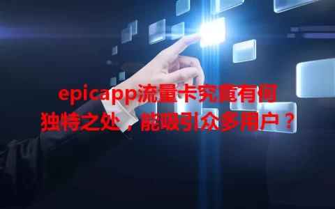 epicapp流量卡究竟有何独特之处，能吸引众多用户？