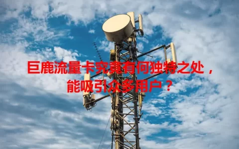 巨鹿流量卡究竟有何独特之处，能吸引众多用户？