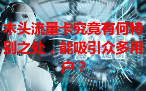 木头流量卡究竟有何特别之处，能吸引众多用户？